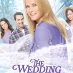 The Wedding Veil Legacy มหัศจรรย์รักผ้าคลุมหน้าเจ้าสาว 3