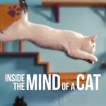 Inside the Mind of a Cat คิดแบบแมวๆ